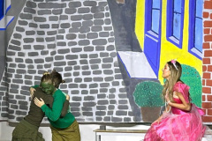 Yesterday-our-Grade-12A-students-presented-their-English-musical-The-Princess-and-the-Frog.-Th-9